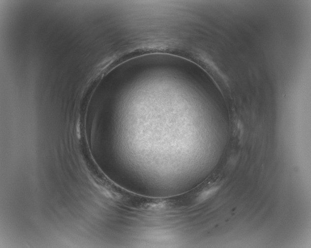 X0000053080068200507251537