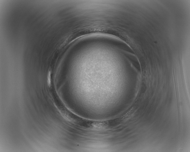 X0000053080070200507251537