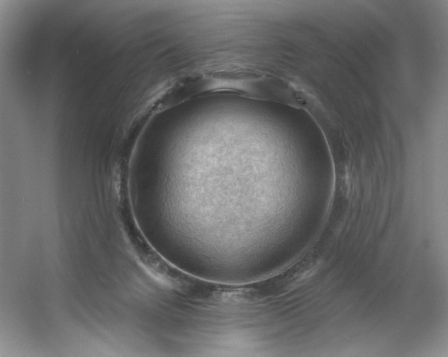 X0000053080072200507251537