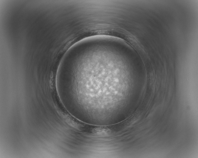 X0000053080073200507251537