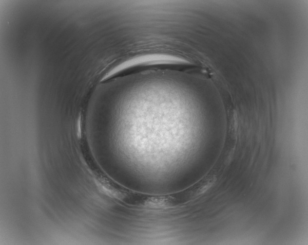 X0000053080076200507251537