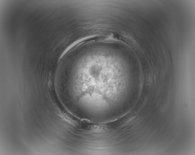 X0000053080077200507251537