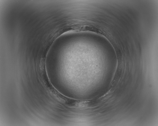 X0000053080078200507251537