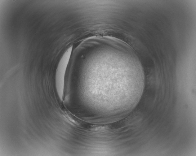 X0000053080081200507251537