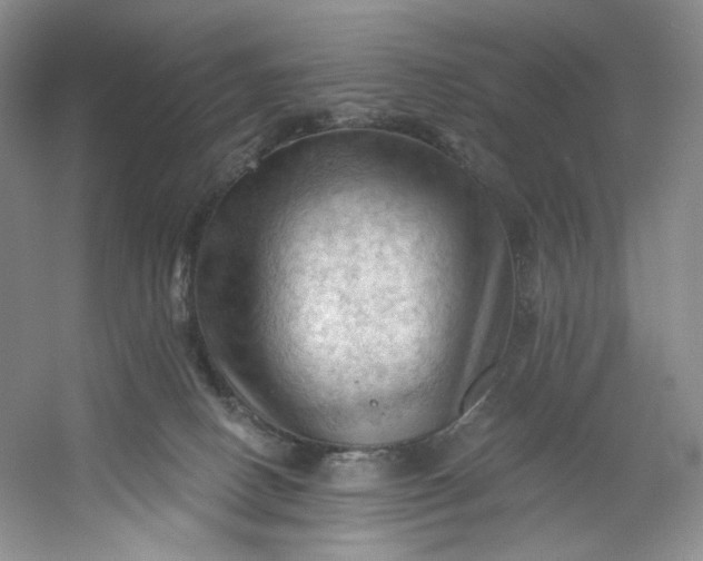 X0000053080082200507251537