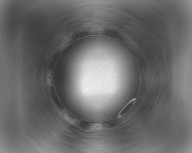 X0000053080083200507251537