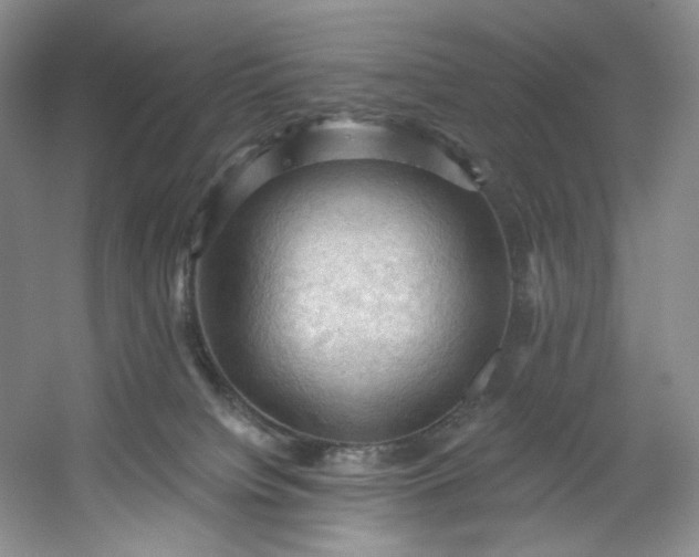 X0000053080084200507251537