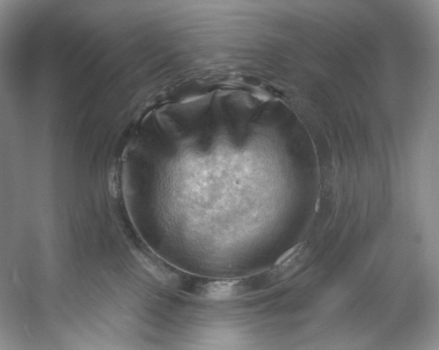 X0000053080090200507251537