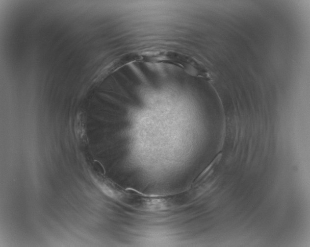 X0000053080091200507251537