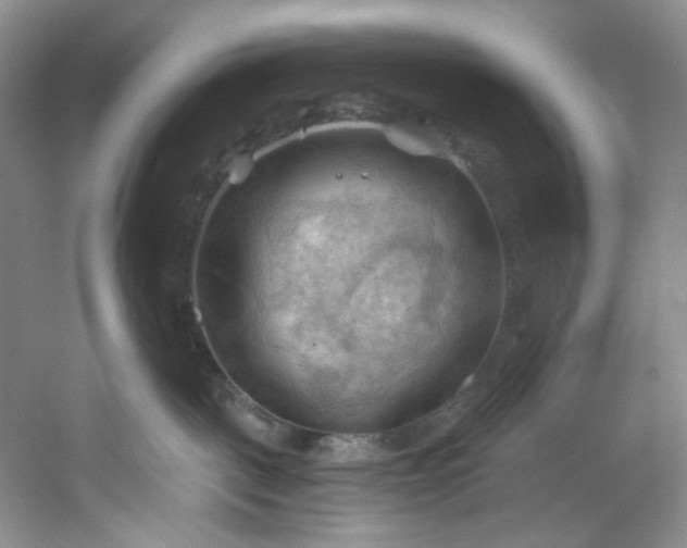 X0000053080093200507251537