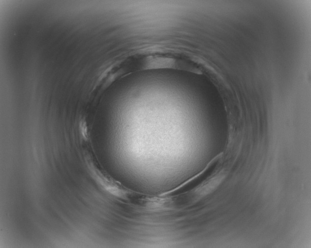 X0000053080096200507251537