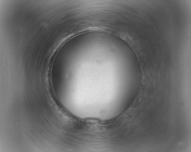 X0000053080098200507251536