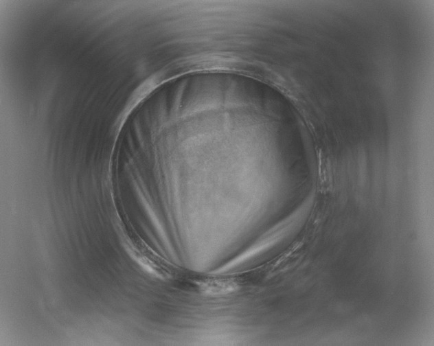 X0000053080099200507251536