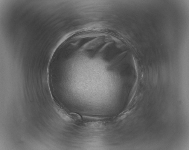 X0000053080100200507251536