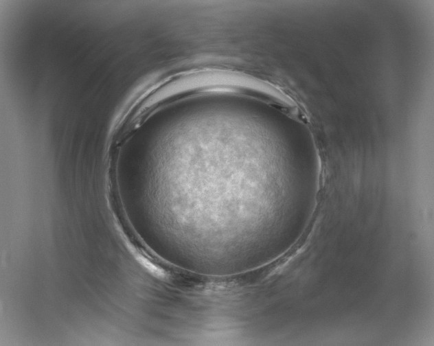X0000053080101200507251536