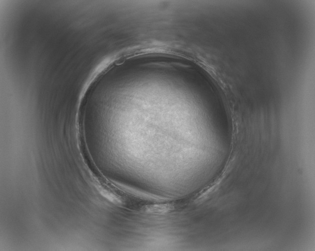 X0000053080102200507251536
