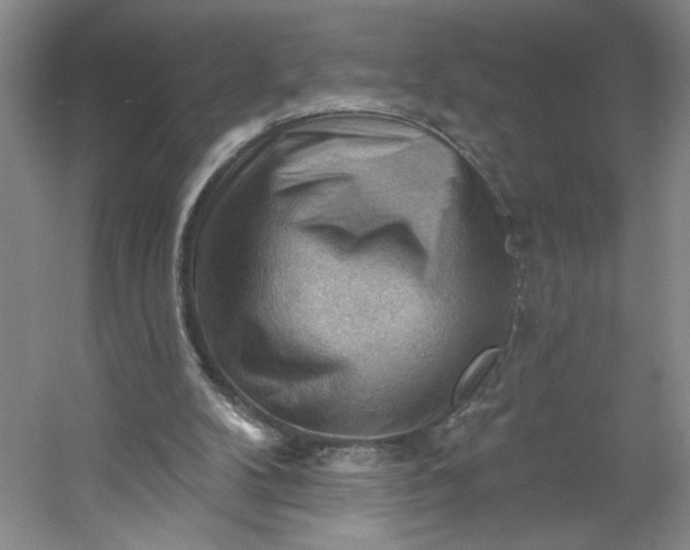 X0000053080104200507251536