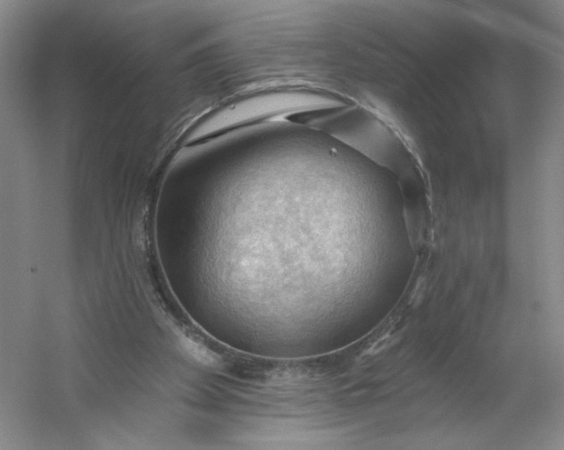 X0000053080105200507251536