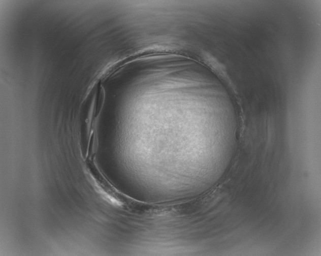 X0000053080106200507251536