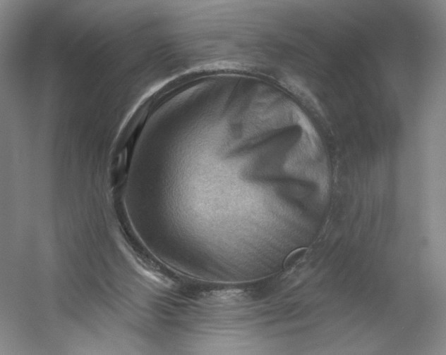 X0000053080108200507251536