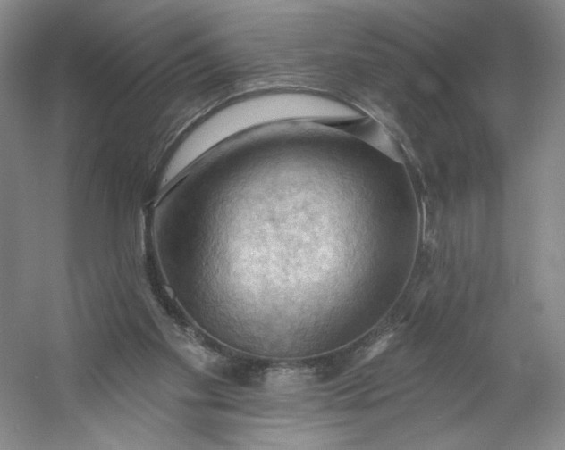 X0000053080109200507251536