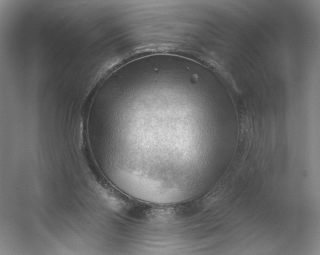 X0000053080110200507251536