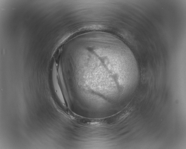 X0000053080111200507251536