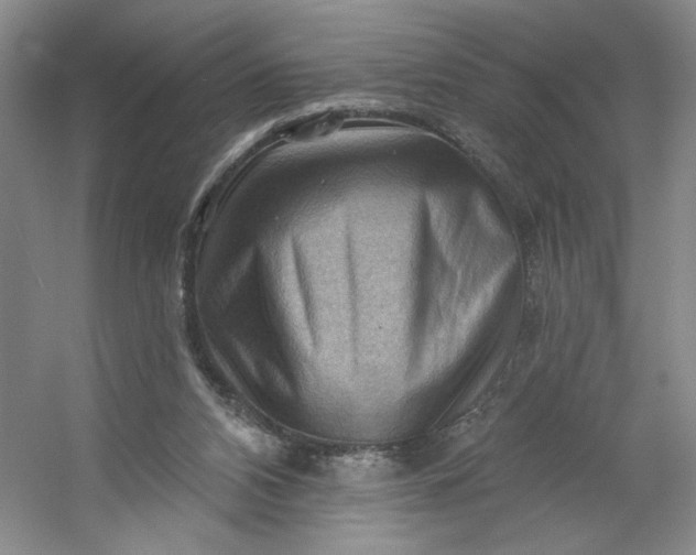 X0000053080112200507251536