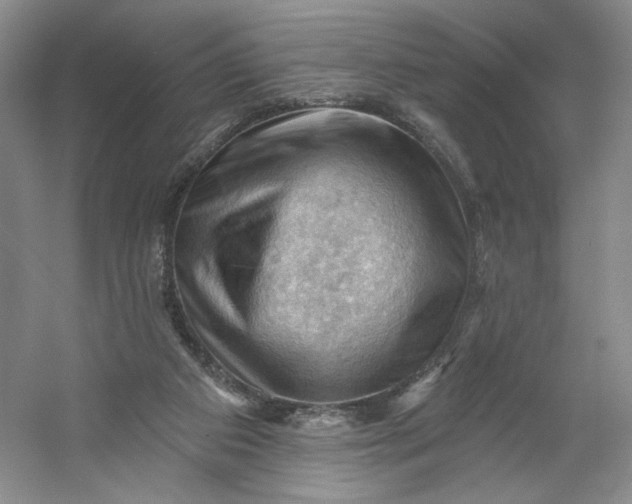 X0000053080113200507251536