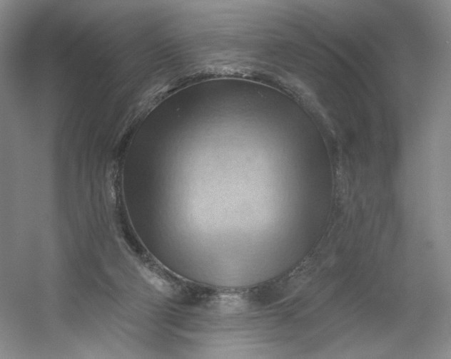 X0000053080114200507251536