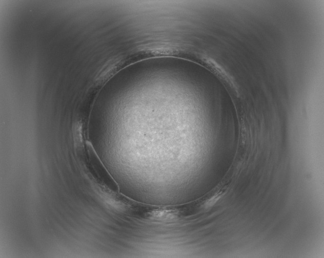 X0000053080117200507251536