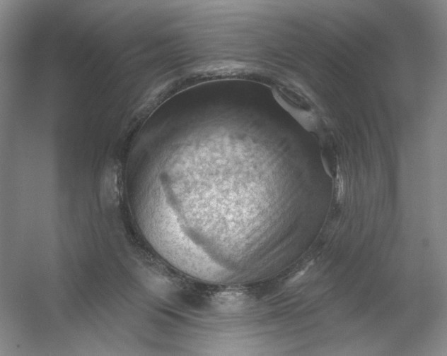 X0000053080119200507251536