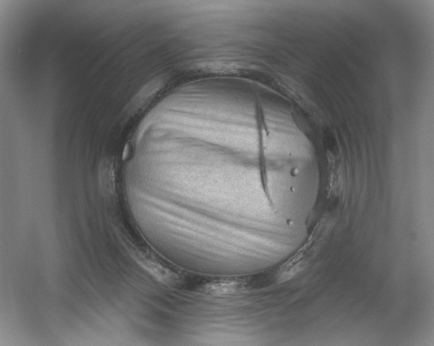 X0000053080120200507251536