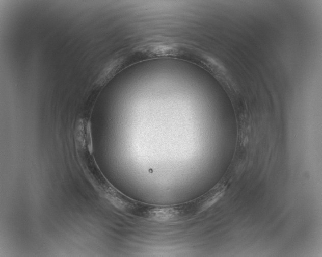 X0000053080121200507251536