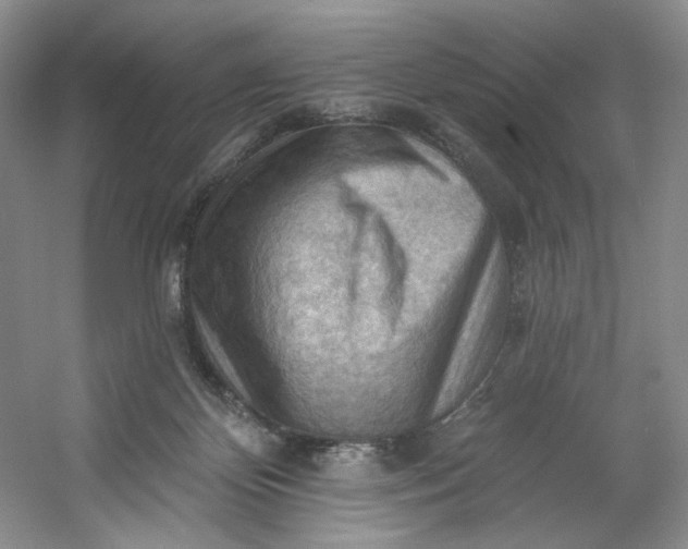 X0000053080124200507251536