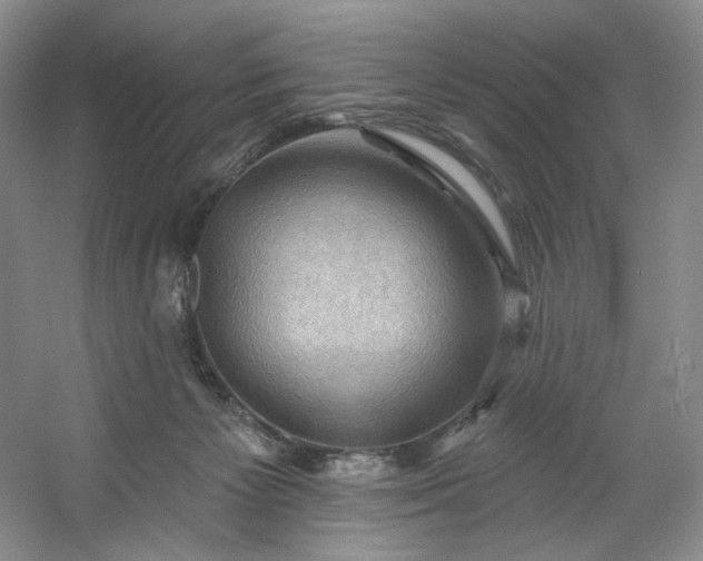 X0000053080125200507251536