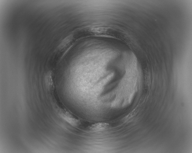 X0000053080128200507251536