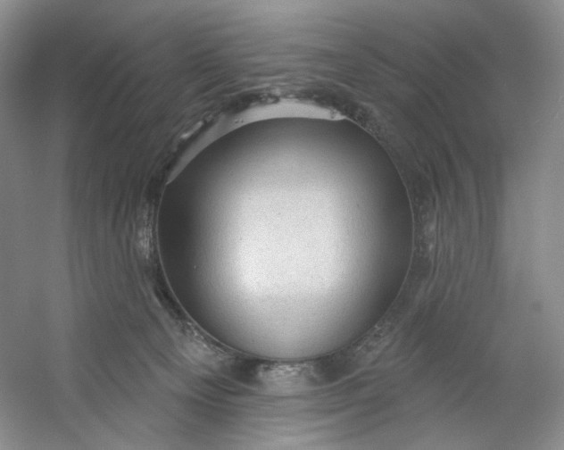 X0000053080129200507251536