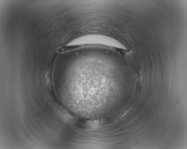 X0000053080131200507251536