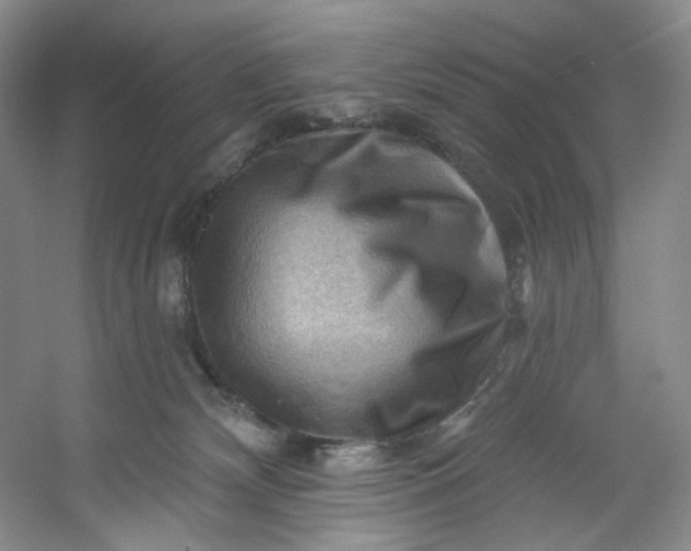 X0000053080132200507251536