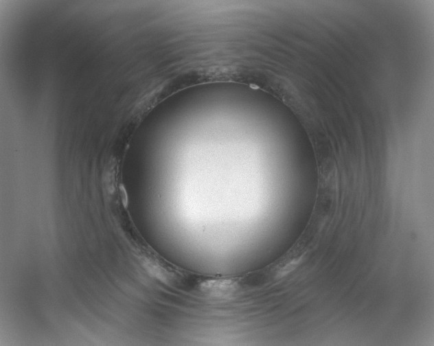 X0000053080133200507251536