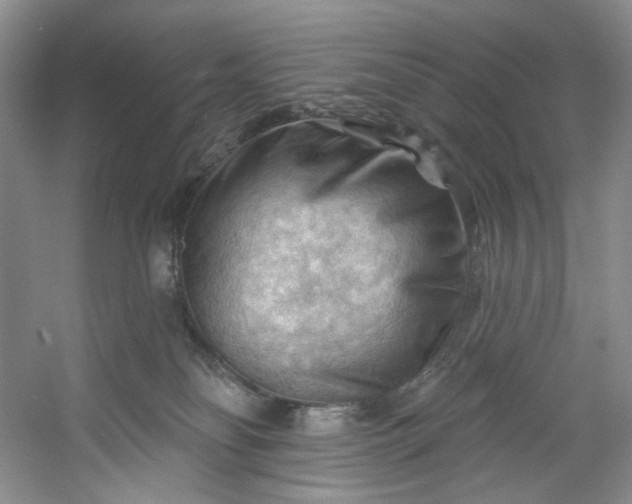 X0000053080134200507251536
