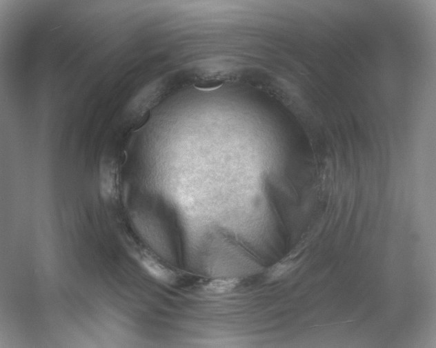 X0000053080138200507251536