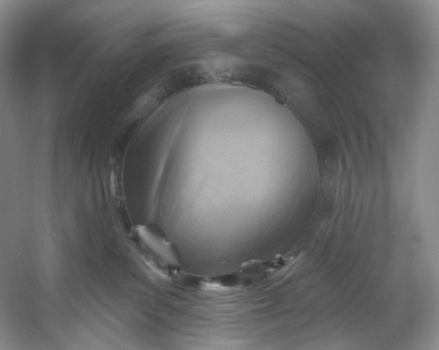 X0000053080139200507251536