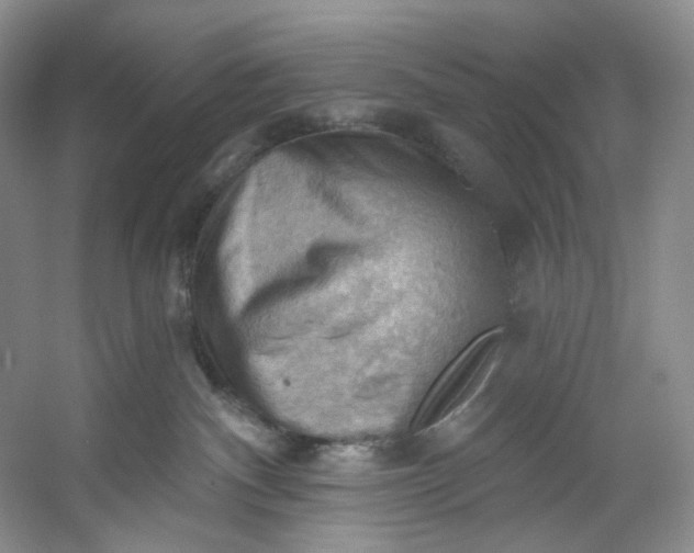 X0000053080140200507251536