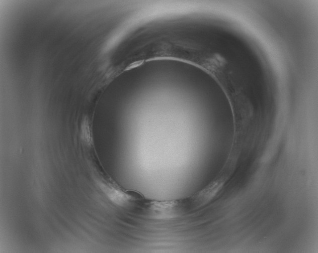 X0000053080143200507251536