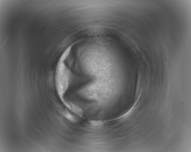 X0000053080144200507251535