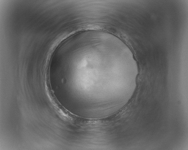 X0000053080145200507251535