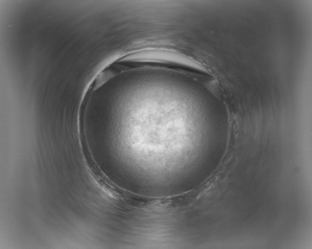 X0000053080148200507251535
