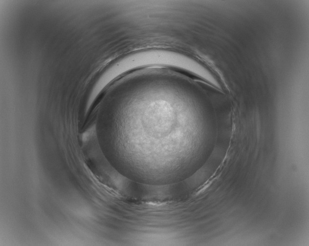 X0000053080154200507251535